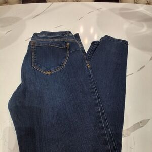 Democracy Indigo Skinny Jeans